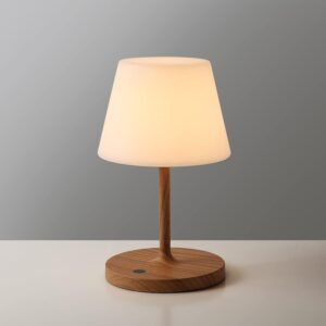 battery operated table lamp