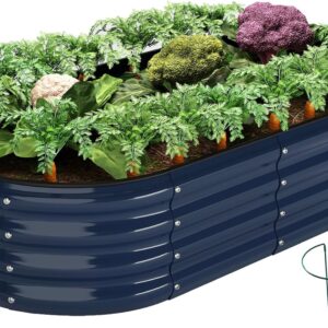 raised garden bed