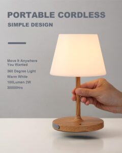 battery operated table lamps​
