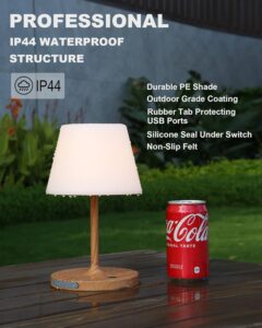 battery operated table lamps​