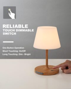 battery operated table lamps​