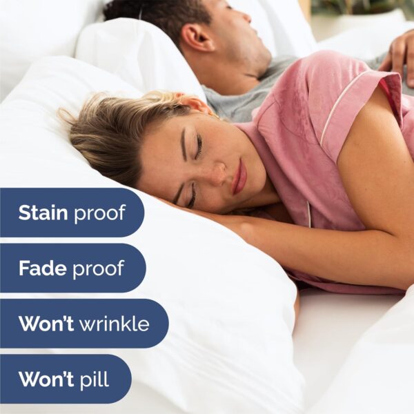 Bed Sheet
