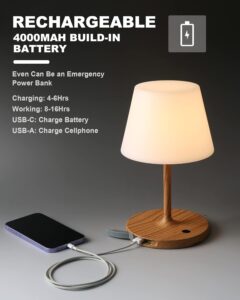 battery operated table lamps​