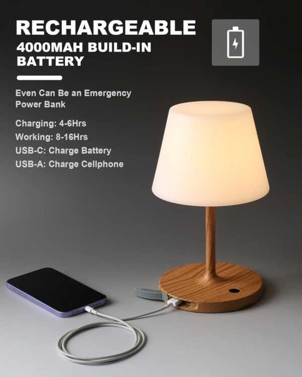 battery operated table lamps​
