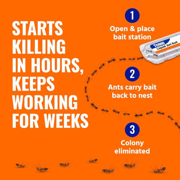 Ant Killer Bait Stations