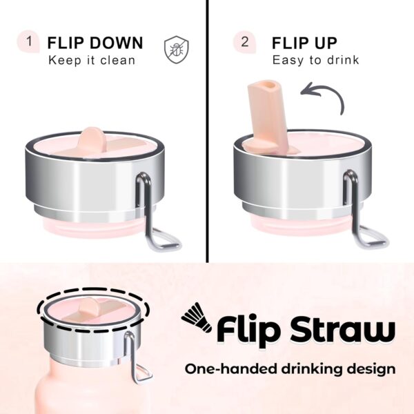 Insulated Water Bottle